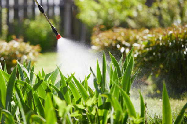 24/7 Emergency Mosquito Control experts in Kimball, NE